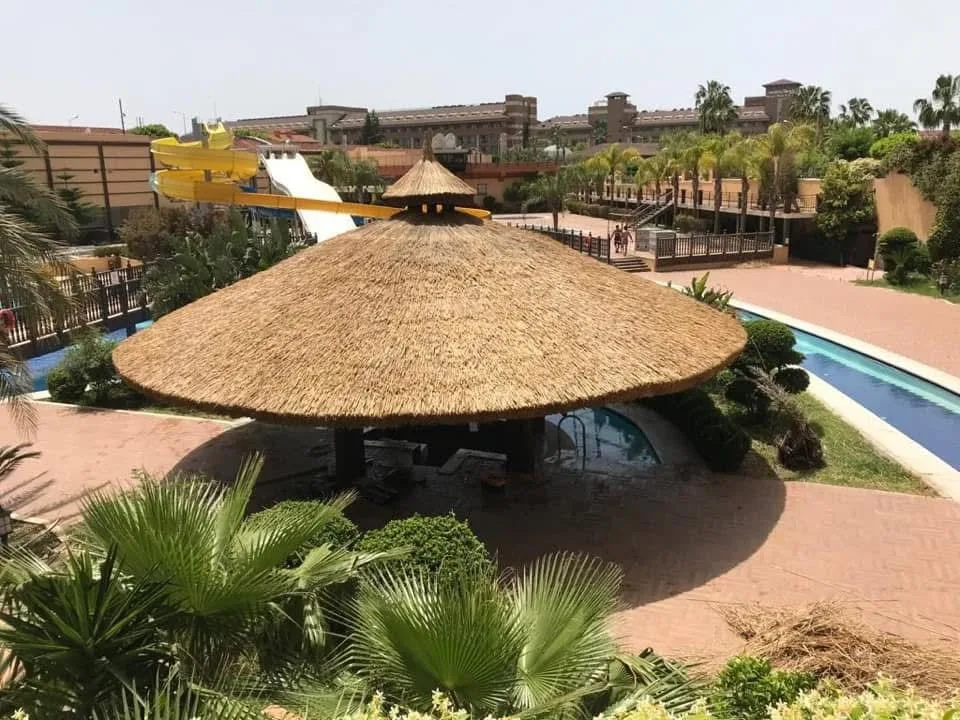 Saz Kamışı — Gölgelik
