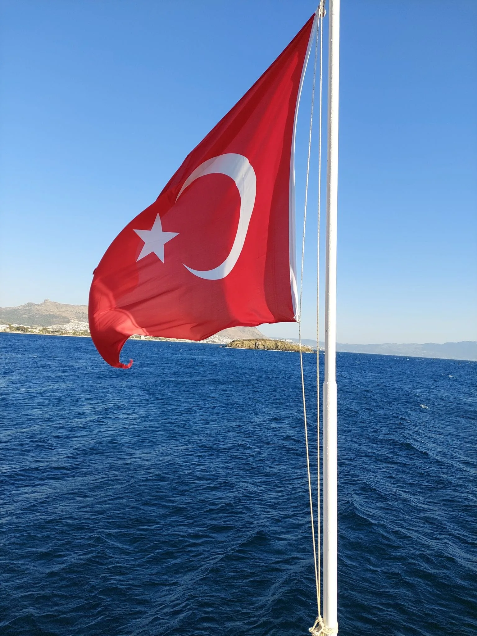 Çin Otu Kamelya — Otel